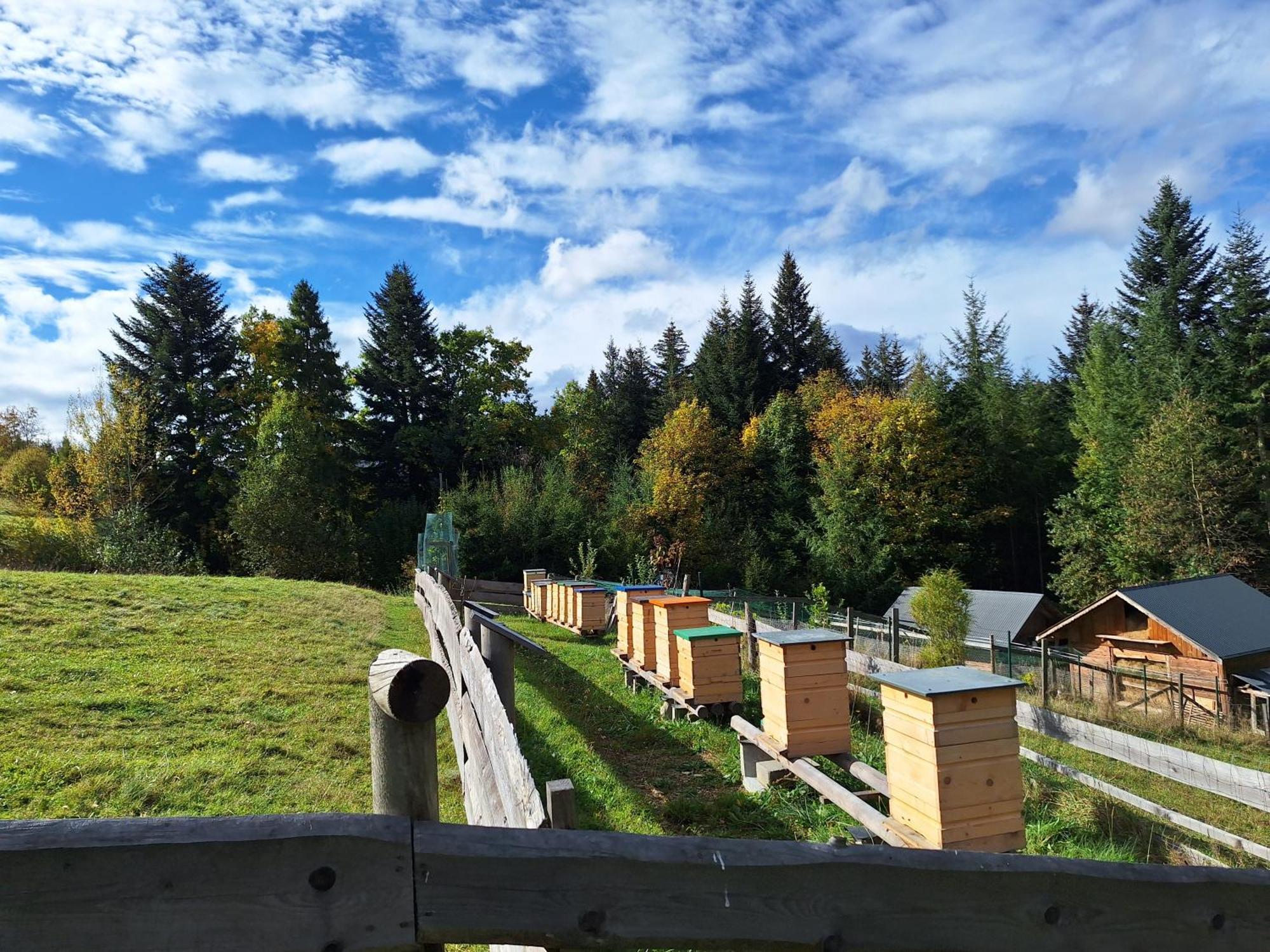 Holiday home W Klisiowkach *