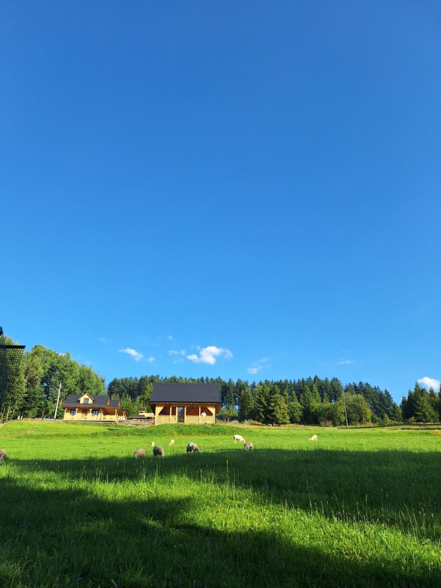 W Klisiowkach